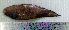  ( - CySi20D)  @12 [ ] Unspecified (default): All Rights Reserved  Unspecified Unspecified