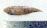  ( - CySi20E)  @12 [ ] Unspecified (default): All Rights Reserved  Unspecified Unspecified