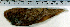  ( - CySi20G)  @12 [ ] Unspecified (default): All Rights Reserved  Unspecified Unspecified