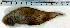  ( - CySi20I)  @12 [ ] Unspecified (default): All Rights Reserved  Unspecified Unspecified