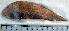  ( - CySi20M)  @12 [ ] Unspecified (default): All Rights Reserved  Unspecified Unspecified
