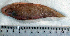  ( - CySi20O)  @12 [ ] Unspecified (default): All Rights Reserved  Unspecified Unspecified
