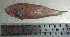  ( - CySi20T)  @12 [ ] Unspecified (default): All Rights Reserved  Unspecified Unspecified