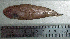  ( - CySi20V)  @12 [ ] Unspecified (default): All Rights Reserved  Unspecified Unspecified