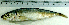  ( - DeRu4G)  @12 [ ] Unspecified (default): All Rights Reserved  Unspecified Unspecified