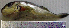  ( - LaSp25A)  @12 [ ] Unspecified (default): All Rights Reserved  Unspecified Unspecified