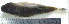  ( - LaSp25A)  @12 [ ] Unspecified (default): All Rights Reserved  Unspecified Unspecified