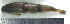  ( - LaSp25B)  @12 [ ] Unspecified (default): All Rights Reserved  Unspecified Unspecified