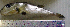  ( - LaSp25C)  @12 [ ] Unspecified (default): All Rights Reserved  Unspecified Unspecified