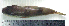  ( - LaSp25C)  @12 [ ] Unspecified (default): All Rights Reserved  Unspecified Unspecified