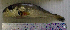  ( - LaSp25D)  @13 [ ] Unspecified (default): All Rights Reserved  Unspecified Unspecified