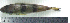  ( - LaSp25D)  @12 [ ] Unspecified (default): All Rights Reserved  Unspecified Unspecified