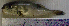  ( - LaSp25E)  @13 [ ] Unspecified (default): All Rights Reserved  Unspecified Unspecified