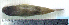  ( - LaSp25E)  @12 [ ] Unspecified (default): All Rights Reserved  Unspecified Unspecified