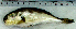  ( - LaSp25G)  @12 [ ] Unspecified (default): All Rights Reserved  Unspecified Unspecified
