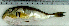  ( - LaSp25H)  @12 [ ] Unspecified (default): All Rights Reserved  Unspecified Unspecified