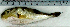  ( - LaSp25I)  @12 [ ] Unspecified (default): All Rights Reserved  Unspecified Unspecified