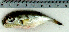  ( - LaSp25K)  @12 [ ] Unspecified (default): All Rights Reserved  Unspecified Unspecified