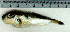  ( - LaSp25L)  @12 [ ] Unspecified (default): All Rights Reserved  Unspecified Unspecified