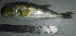  ( - LaSp25S)  @12 [ ] Unspecified (default): All Rights Reserved  Unspecified Unspecified