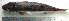  ( - LaSu26A)  @12 [ ] Unspecified (default): All Rights Reserved  Unspecified Unspecified