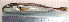  ( - LaSu26A)  @12 [ ] Unspecified (default): All Rights Reserved  Unspecified Unspecified