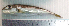  ( - LaSu26D)  @12 [ ] Unspecified (default): All Rights Reserved  Unspecified Unspecified