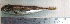  ( - LaSu26E)  @12 [ ] Unspecified (default): All Rights Reserved  Unspecified Unspecified