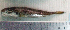  ( - LaSu26F)  @12 [ ] Unspecified (default): All Rights Reserved  Unspecified Unspecified