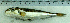  ( - LaSu26G)  @12 [ ] Unspecified (default): All Rights Reserved  Unspecified Unspecified