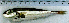  ( - LaSu26H)  @12 [ ] Unspecified (default): All Rights Reserved  Unspecified Unspecified