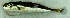  ( - LaSu26I)  @12 [ ] Unspecified (default): All Rights Reserved  Unspecified Unspecified