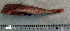  ( - TrLa39M)  @11 [ ] Unspecified (default): All Rights Reserved  Unspecified Unspecified