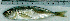  ( - TrMe33G)  @11 [ ] Unspecified (default): All Rights Reserved  Unspecified Unspecified