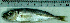  ( - TrMe33H)  @11 [ ] Unspecified (default): All Rights Reserved  Unspecified Unspecified