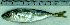  ( - TrMe33I)  @11 [ ] Unspecified (default): All Rights Reserved  Unspecified Unspecified