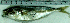  ( - TrMe33J)  @11 [ ] Unspecified (default): All Rights Reserved  Unspecified Unspecified