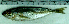  ( - TrMe33L)  @11 [ ] Unspecified (default): All Rights Reserved  Unspecified Unspecified
