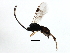  ( - 07TAPACH-01424)  @12 [ ] CreativeCommons - Attribution (2009) Unspecified Centre for Biodiversity Genomics