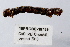  ( - 10PROBE-18759)  @12 [ ] CreativeCommons - Attribution (2010) CBG Photography Group Centre for Biodiversity Genomics
