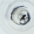  ( - JHBF_001_B12)  @11 [ ] by  Genome Research Ltd as Wellcome Sanger Institute Genome Research Limited operating as Wellcome Sanger Institute