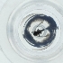  ( - JHBF_001_C8)  @11 [ ] by  Genome Research Ltd as Wellcome Sanger Institute Genome Research Limited operating as Wellcome Sanger Institute