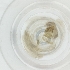  ( - JHBF_005_G5)  @11 [ ] by  Genome Research Ltd as Wellcome Sanger Institute Genome Research Limited operating as Wellcome Sanger Institute