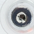  ( - JHBF_005_H10)  @11 [ ] by  Genome Research Ltd as Wellcome Sanger Institute Genome Research Limited operating as Wellcome Sanger Institute