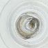  ( - JHBF_005_H4)  @11 [ ] by  Genome Research Ltd as Wellcome Sanger Institute Genome Research Limited operating as Wellcome Sanger Institute