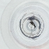  ( - JHBF_007_H9)  @11 [ ] by  Genome Research Ltd as Wellcome Sanger Institute Genome Research Limited operating as Wellcome Sanger Institute