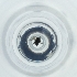  ( - JHGS_017_H3)  @11 [ ] by (2023) Wellcome Sanger Institute (Genome Research Limited) Wellcome Sanger Institute (Genome Research Limited)