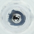 ( - JHGS_019_C6)  @11 [ ] by (2023) Wellcome Sanger Institute (Genome Research Limited) Wellcome Sanger Institute (Genome Research Limited)