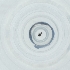  ( - JHGS_061_C6)  @11 [ ] by  Genome Research Ltd as Wellcome Sanger Institute Genome Research Limited operating as Wellcome Sanger Institute