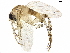  ( - BIOUG28588-B06)  @14 [ ] CreativeCommons - Attribution (2020) CBG Photography Group Centre for Biodiversity Genomics